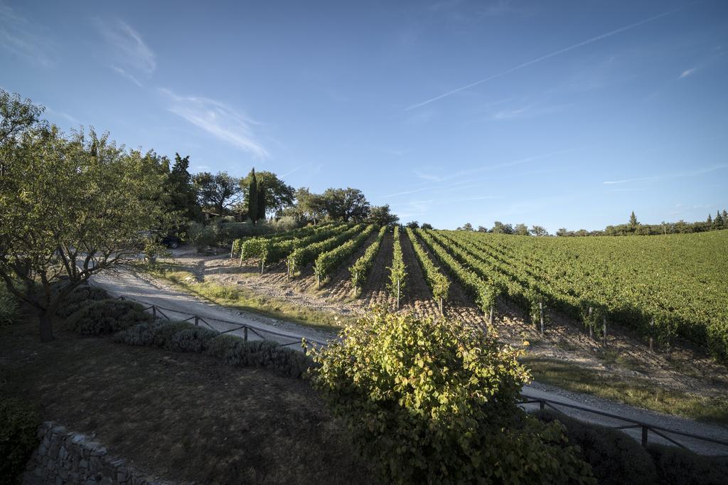 Collelungo Guest House Castellina in Chianti Rom bilde