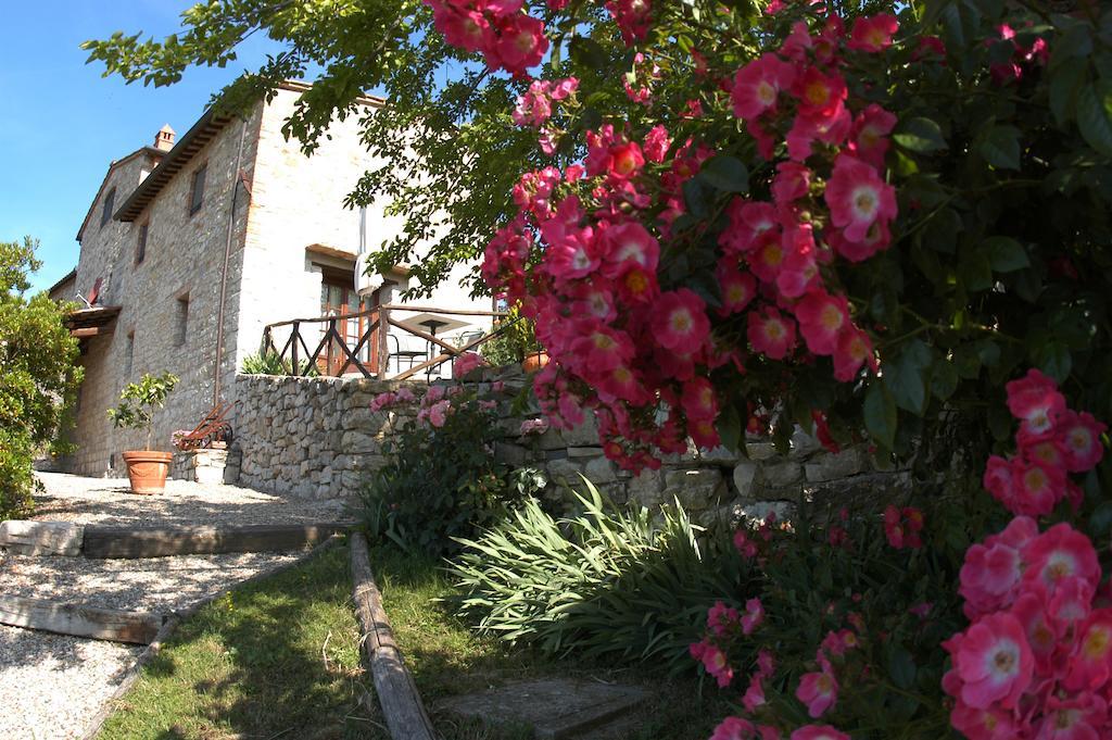 Collelungo Guest House Castellina in Chianti Eksteriør bilde