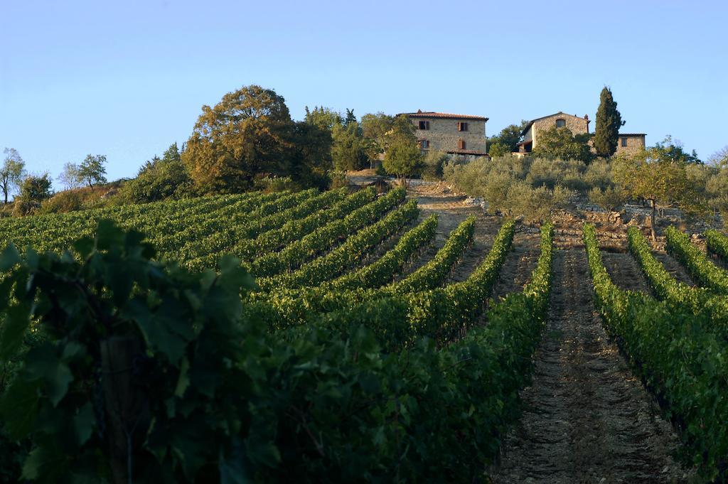 Collelungo Guest House Castellina in Chianti Eksteriør bilde